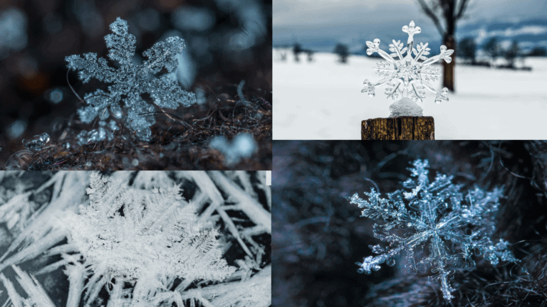 Water Molecules in Snowflake