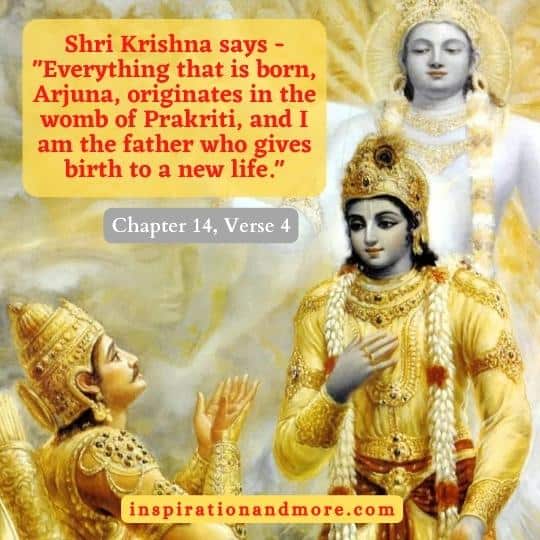 Bhagavad Gita Verses - Chapter 14