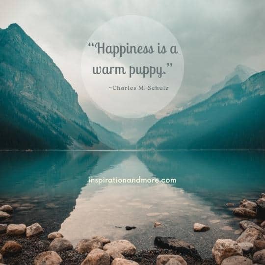 Happiness Quotes